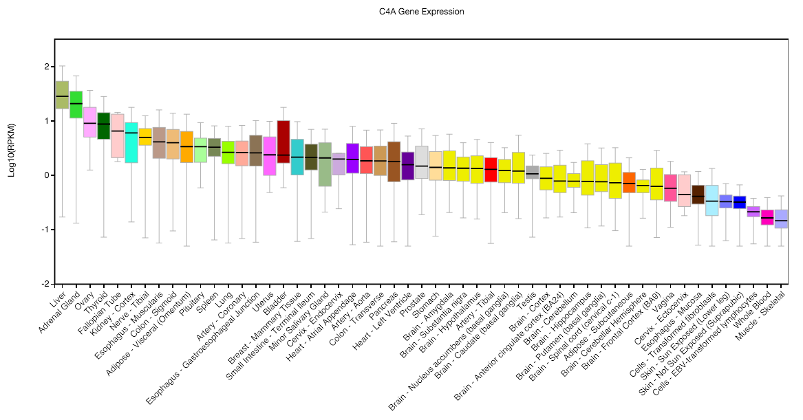 expression of C4A